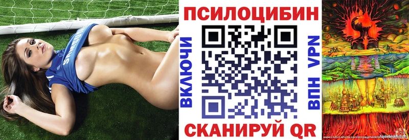 Купить  Зеленоградск  Псилоцибиновые грибы MAGIC MUSHROOMS 